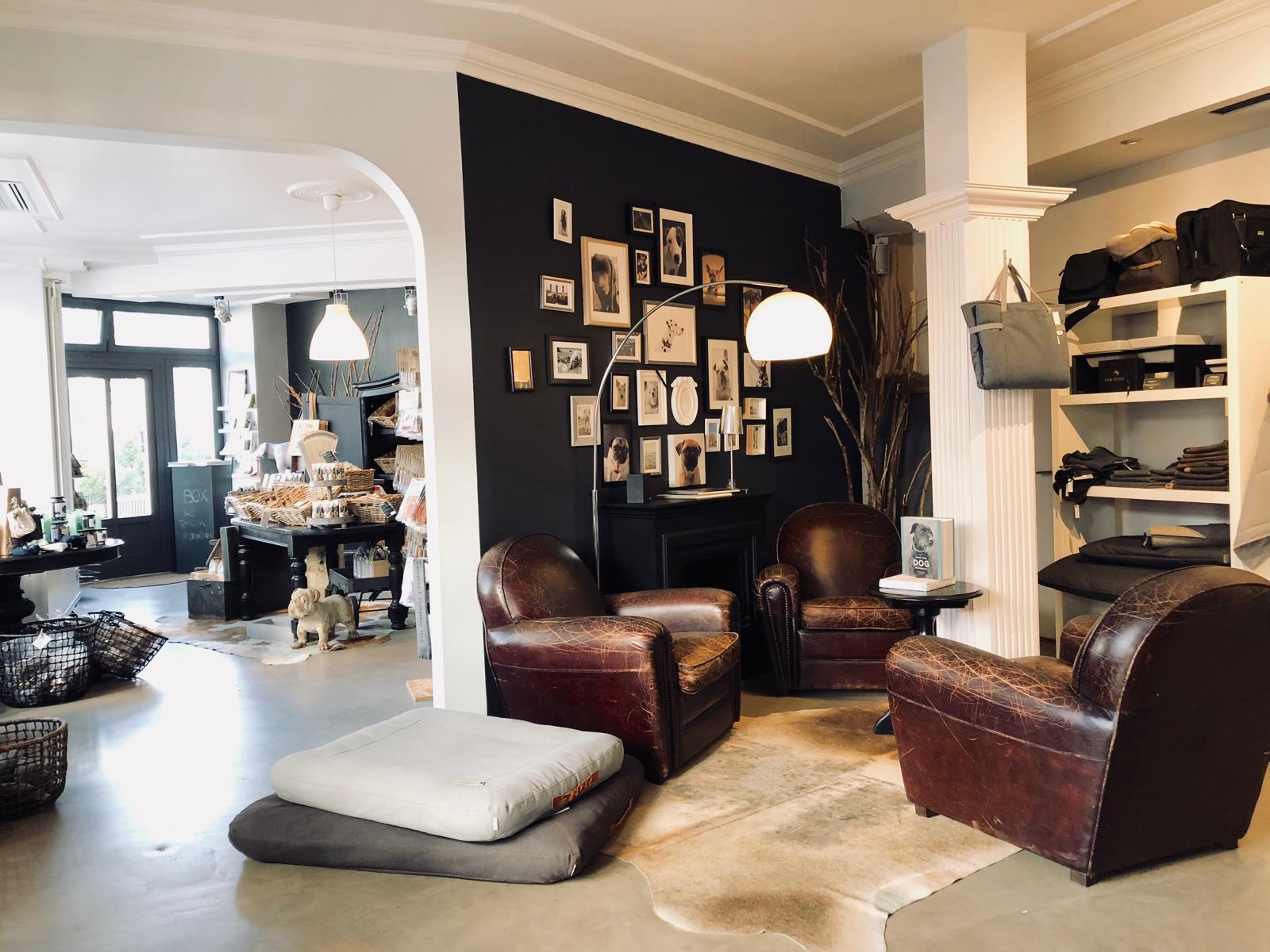 komplette Ladeneinrichtung Conceptstore für Hunde